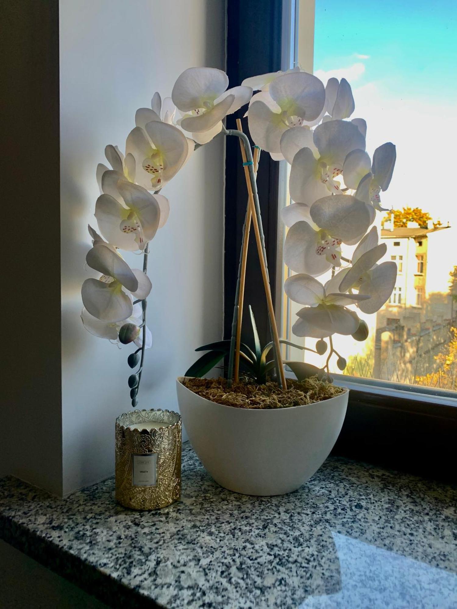 Apartment Kilinskiego Street 罗兹 外观 照片