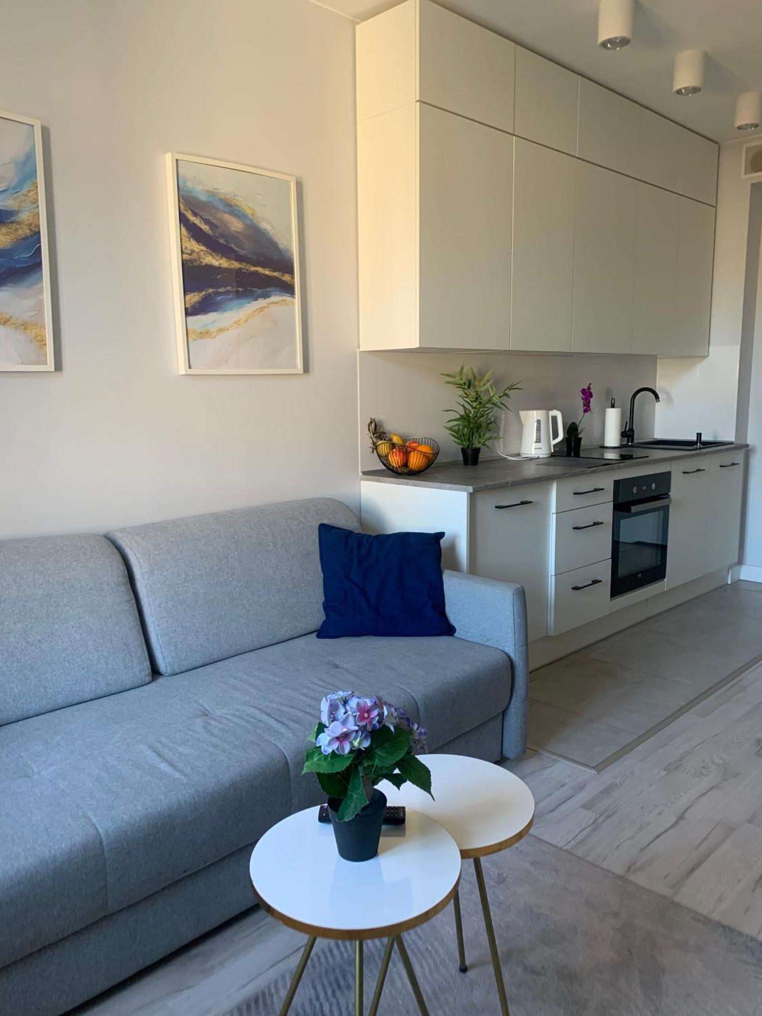 Apartment Kilinskiego Street 罗兹 外观 照片